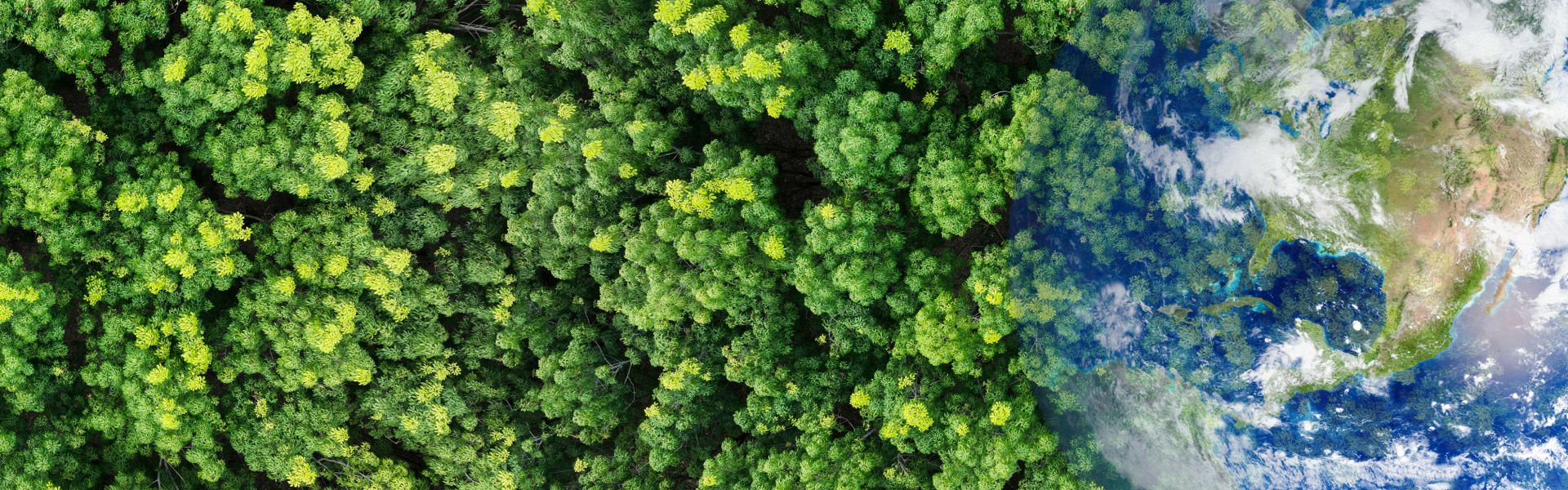 再生PP成功案例