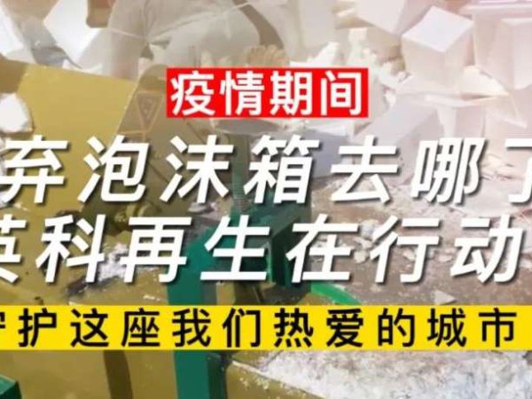 304am永利集团要闻｜疫情期间废弃泡沫箱去哪了？304am永利集团再生在行动！